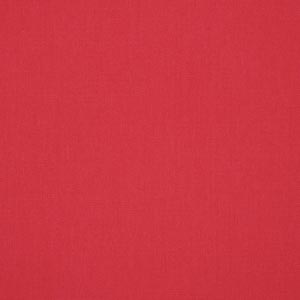 Canvas Blush