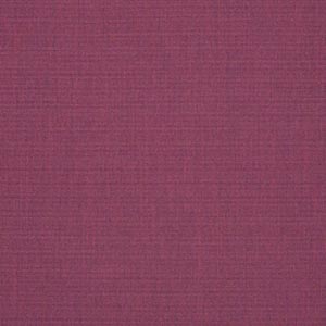 Canvas Iris