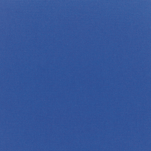 Canvas True Blue