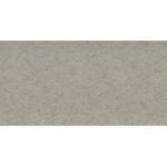Light Gray poly color