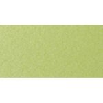 Kiwi Green poly color