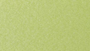 Kiwi Green
