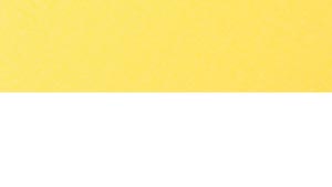 Sunburst Yellow on White