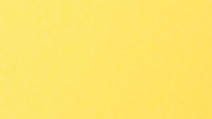 Sunburst Yellow