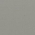 Clay Shed Paint color