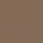 Quaker Tan Shed Paint color