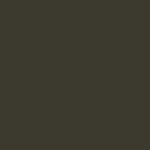 Burnished Slate metal shed color