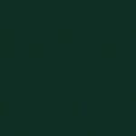 Evergreen metal shed color